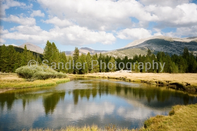 http://www.sandlerphotography.com/Photos/DH140013B-LR.JPG